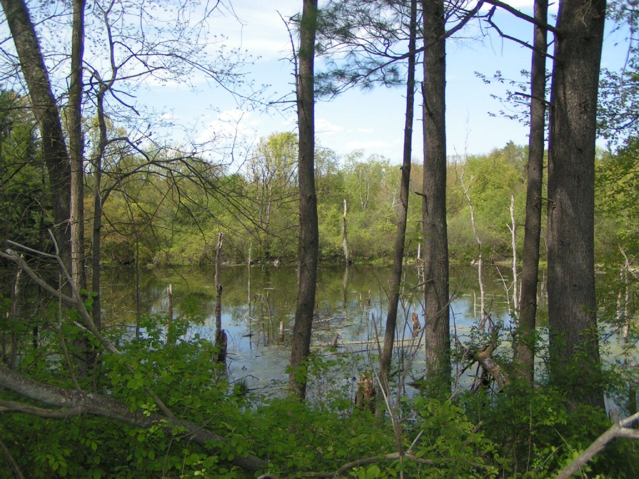 Water view from master during spring, summer and fall